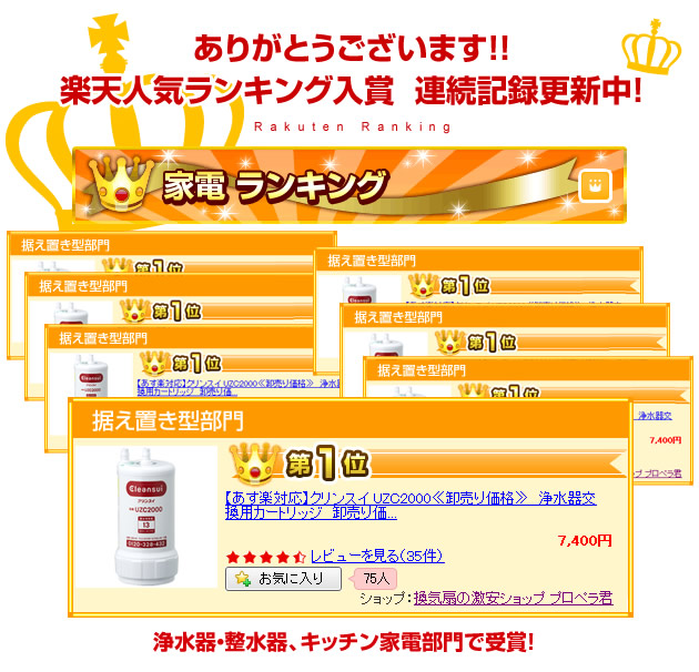 ありがとうございます!!楽天人気ランキング入賞!